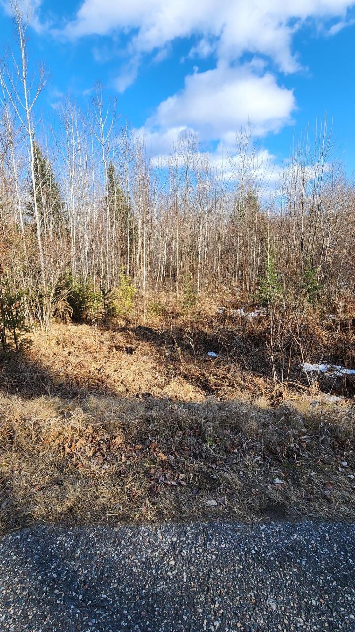 On Waggoner Road Argonne, WI 54511 - Photo 15 of 24 Gallery Image 15