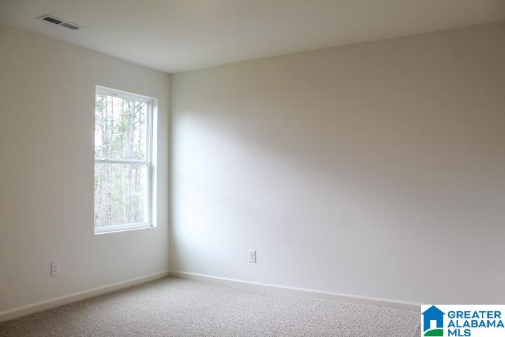 520 Rock Terrace Way Helena, AL 35080 - Photo 37 of 53