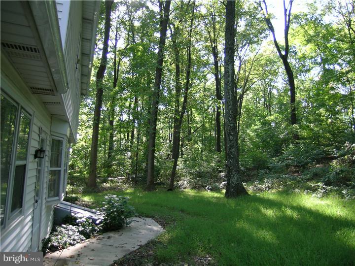 5393 Ridgeview Drive Doylestown, PA 18902 - Photo 24 of 25 View in Back