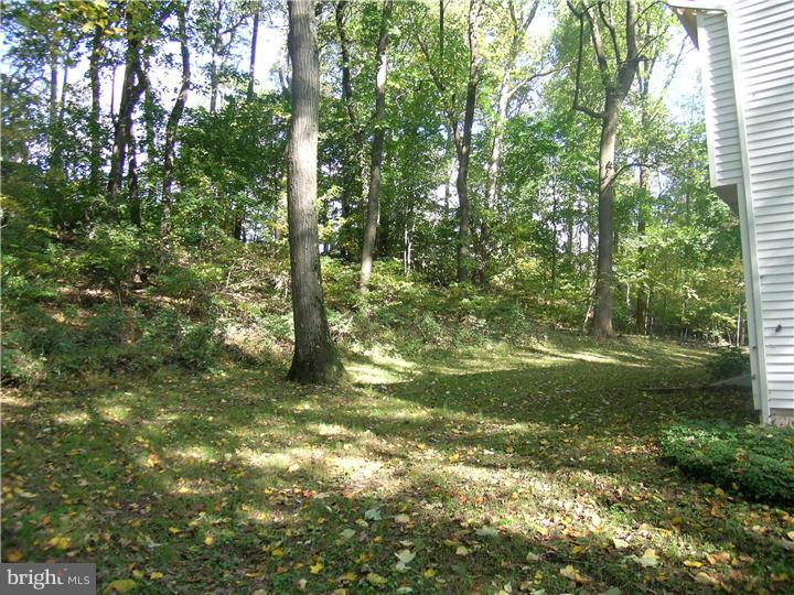 5393 Ridgeview Drive Doylestown, PA 18902 - Photo 4 of 25 View in Back