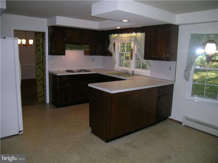 5393 Ridgeview Drive Doylestown, PA 18902 - Photo 6 of 25 Kitchen