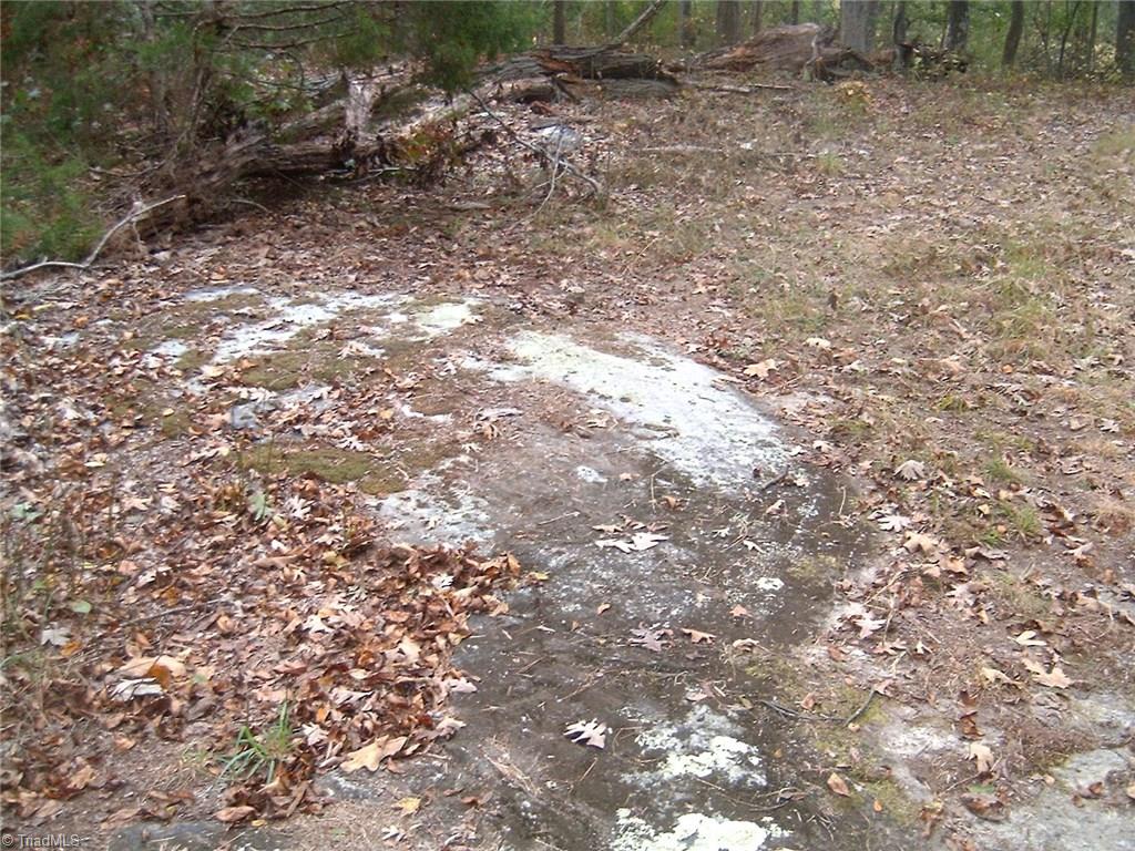 7259 Bulb Road Julian, NC 27283 - Photo 3 of 10 A section of the property has a rock formation that some say was the namesake for the area being called Rockphish.