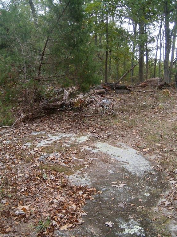 7259 Bulb Road Julian, NC 27283 - Photo 4 of 10 Gallery Image 4