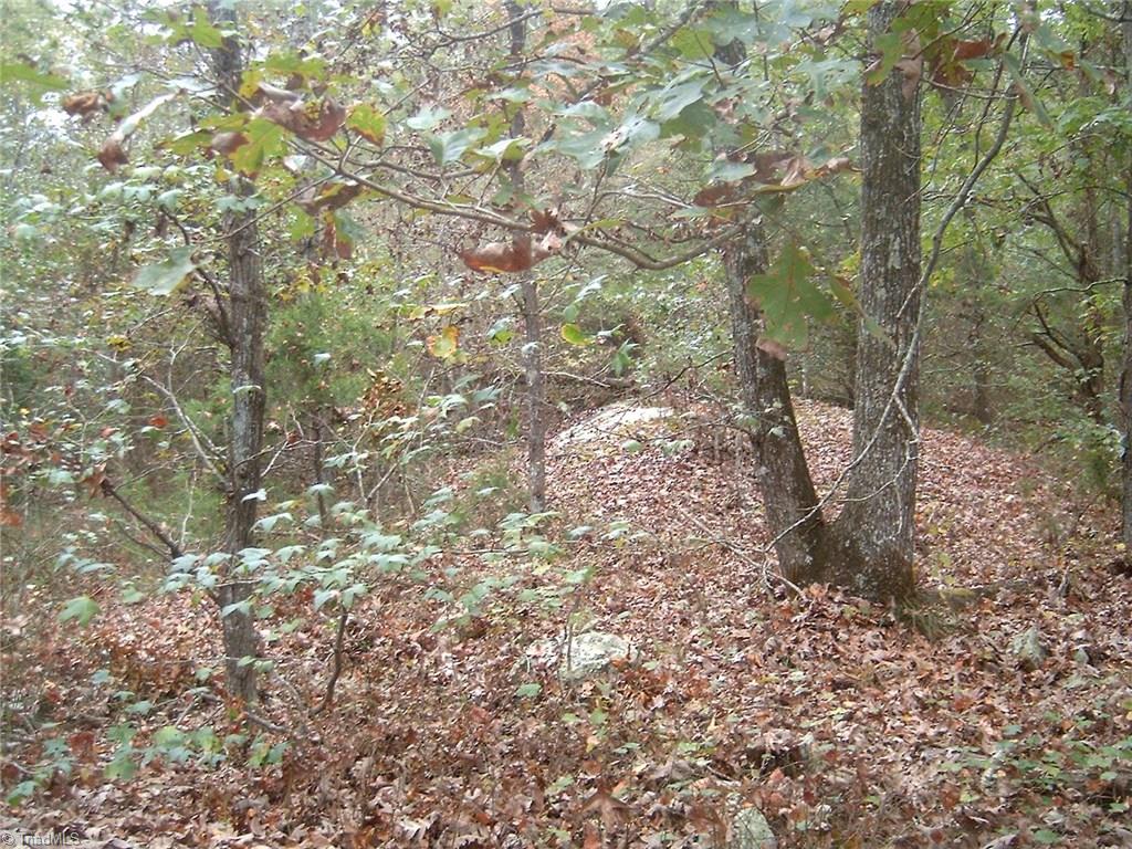 7259 Bulb Road Julian, NC 27283 - Photo 5 of 10 The rock formation extends from the cleared ares 30-40 feet into the woods