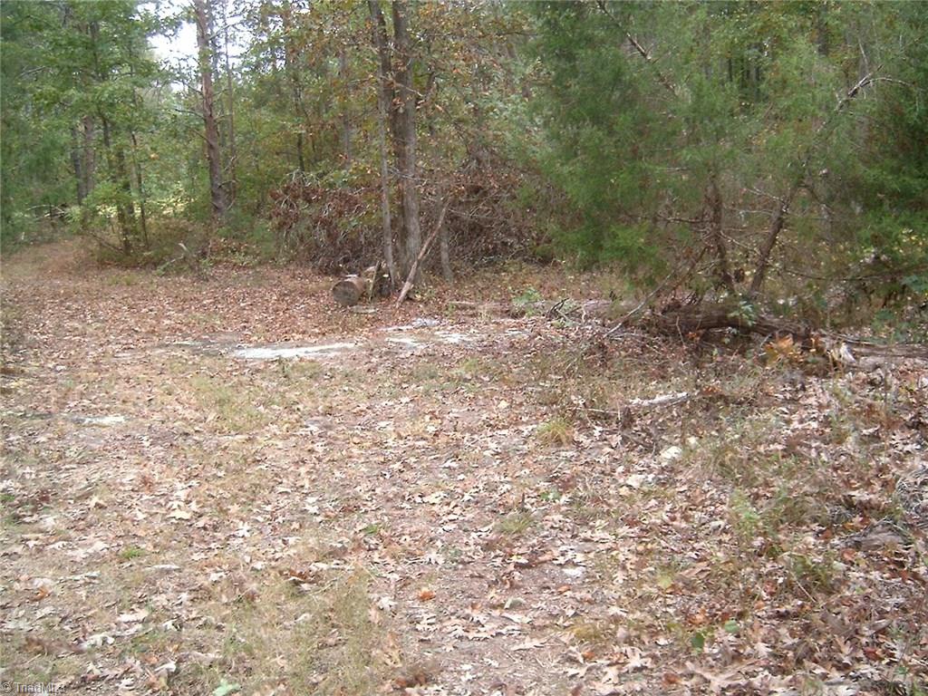 7259 Bulb Road Julian, NC 27283 - Photo 6 of 10 Gallery Image 6