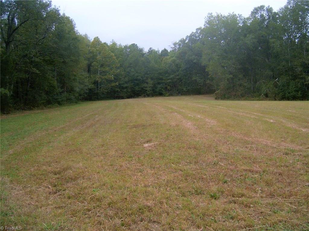 7259 Bulb Road Julian, NC 27283 - Photo 8 of 10 View of 7259 open land