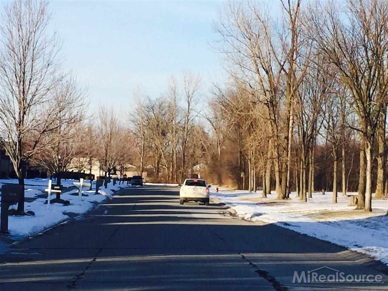 0 Ajanta Sterling Heights, MI 48310 - Photo 3 of 8