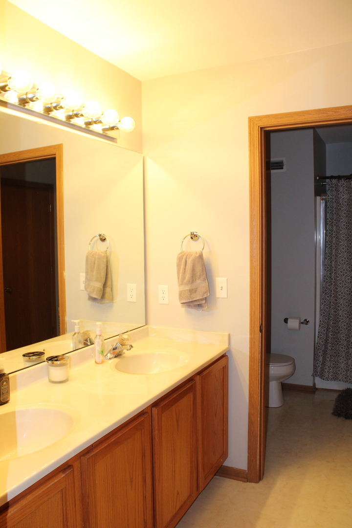 245 Rollin Road, Unit D Somonauk, IL 60552 - Photo 22 of 29 a bathroom with a sink and a mirror