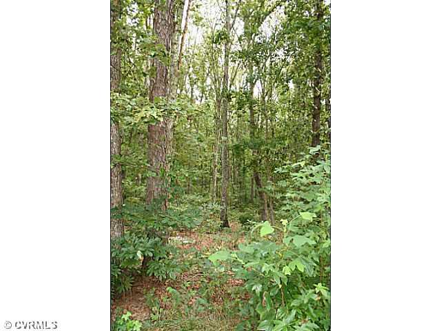 1168 Epworth Road Aylett, VA 23009 - Photo 15 of 21 Land/Lot - Outside you have 6 private wooded acres for all your outdoor enjoyment. The land is made up of gently rolling hardwoods full of wildlife great for all you hunters and wildlife enthusiast!