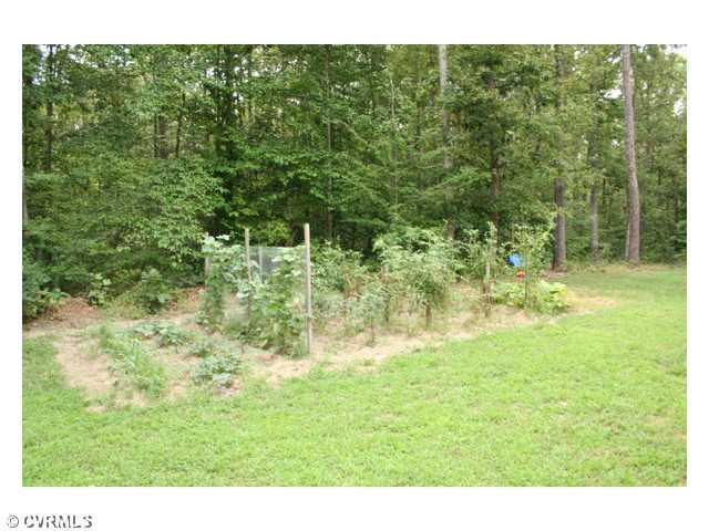 1168 Epworth Road Aylett, VA 23009 - Photo 16 of 21 Land/Lot - The property has enough cleared land for a nice garden and there is still room to play in the yard.