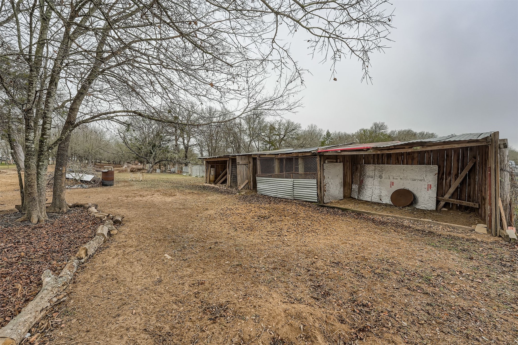 145 Alyssa Loop Bastrop, TX 78602 - Photo 36 of 40 a view of house with a yard