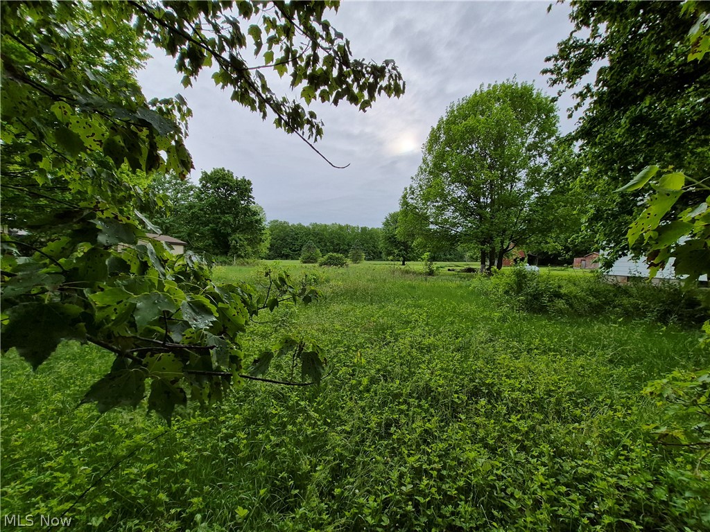 Newell Ledge Road Garrettsville, OH 44231 - Photo 1 of 2 0.9410 acre lot in Nelson Township.