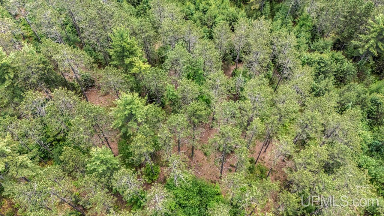 13.75 13.75 Road Escanaba, MI 49829 - Photo 6 of 16