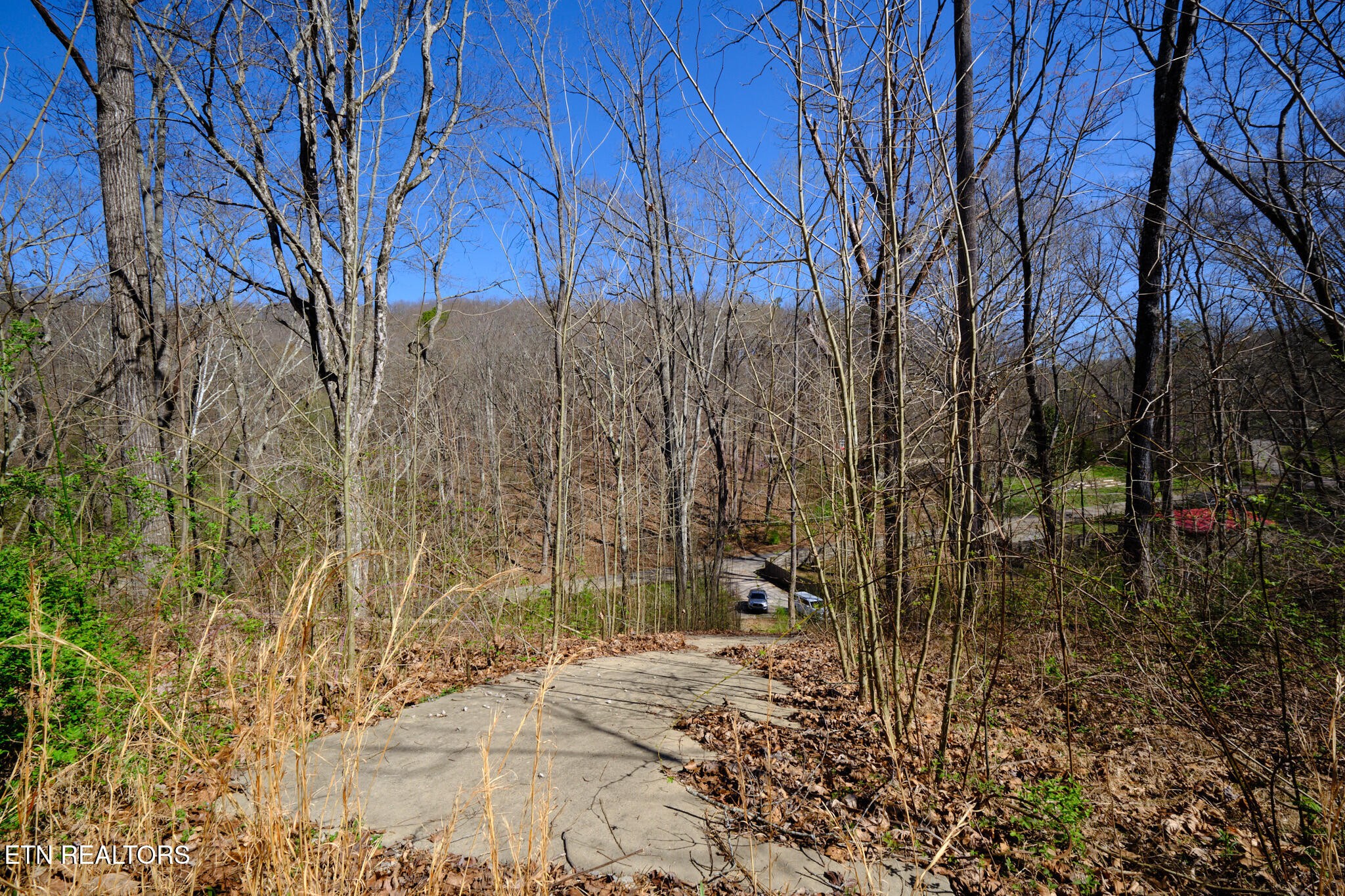 3212 Long Hollow Road Powell, TN 37849 - Photo 6 of 12 Gallery Image 6