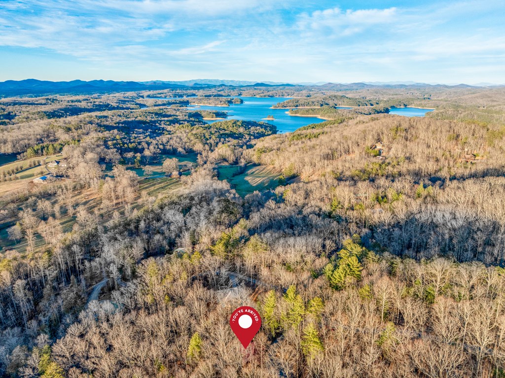 180 Green Ridge Road Blue Ridge, GA 30513 - Photo 2 of 83