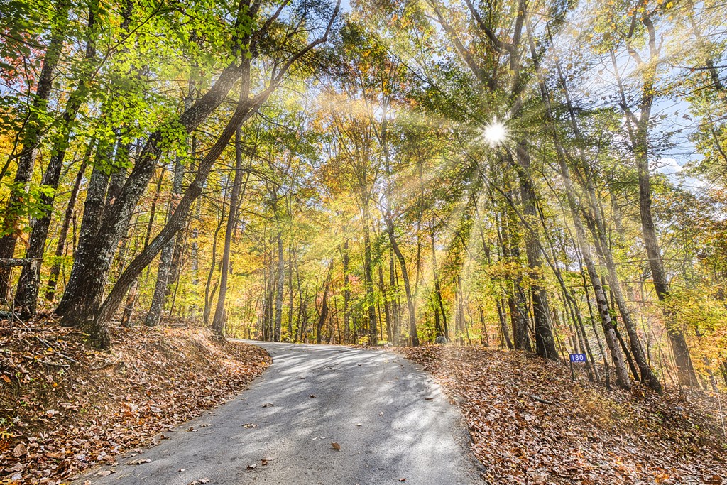 180 Green Ridge Road Blue Ridge, GA 30513 - Photo 34 of 83