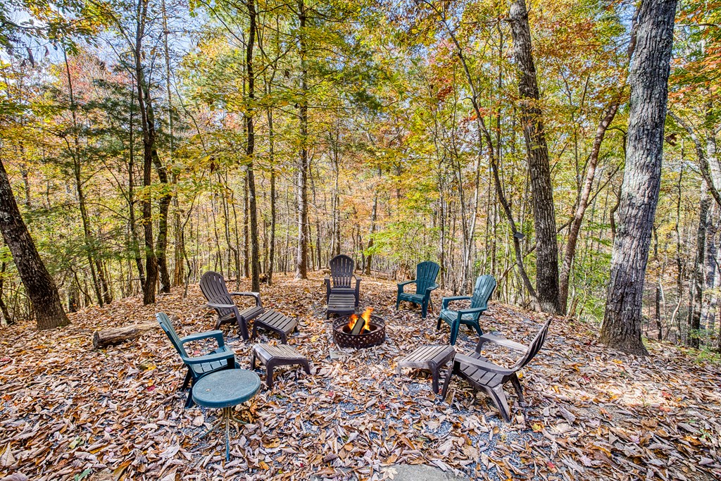 180 Green Ridge Road Blue Ridge, GA 30513 - Photo 35 of 83