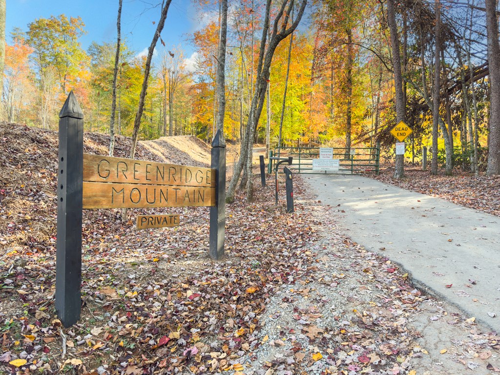 180 Green Ridge Road Blue Ridge, GA 30513 - Photo 38 of 83