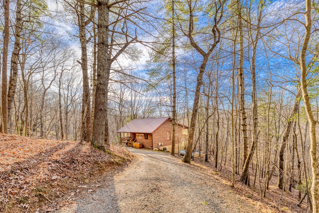 180 Green Ridge Road Blue Ridge, GA 30513 - Photo 45 of 83