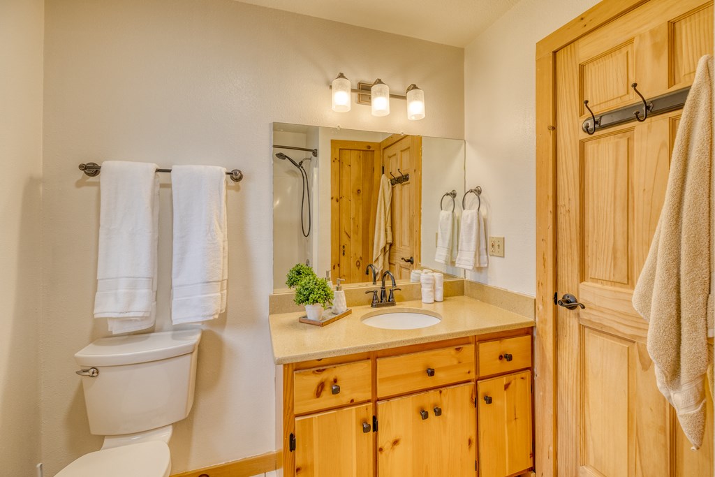 180 Green Ridge Road Blue Ridge, GA 30513 - Photo 49 of 83 a bathroom with a sink a toilet and shower