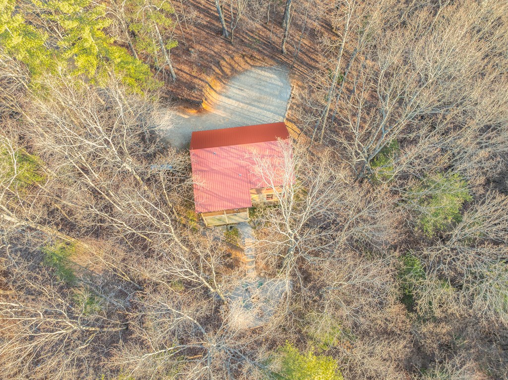 180 Green Ridge Road Blue Ridge, GA 30513 - Photo 54 of 83