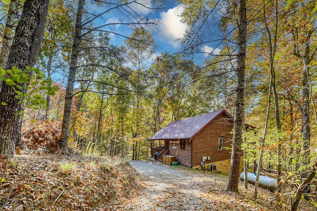 180 Green Ridge Road Blue Ridge, GA 30513 - Photo 8 of 83