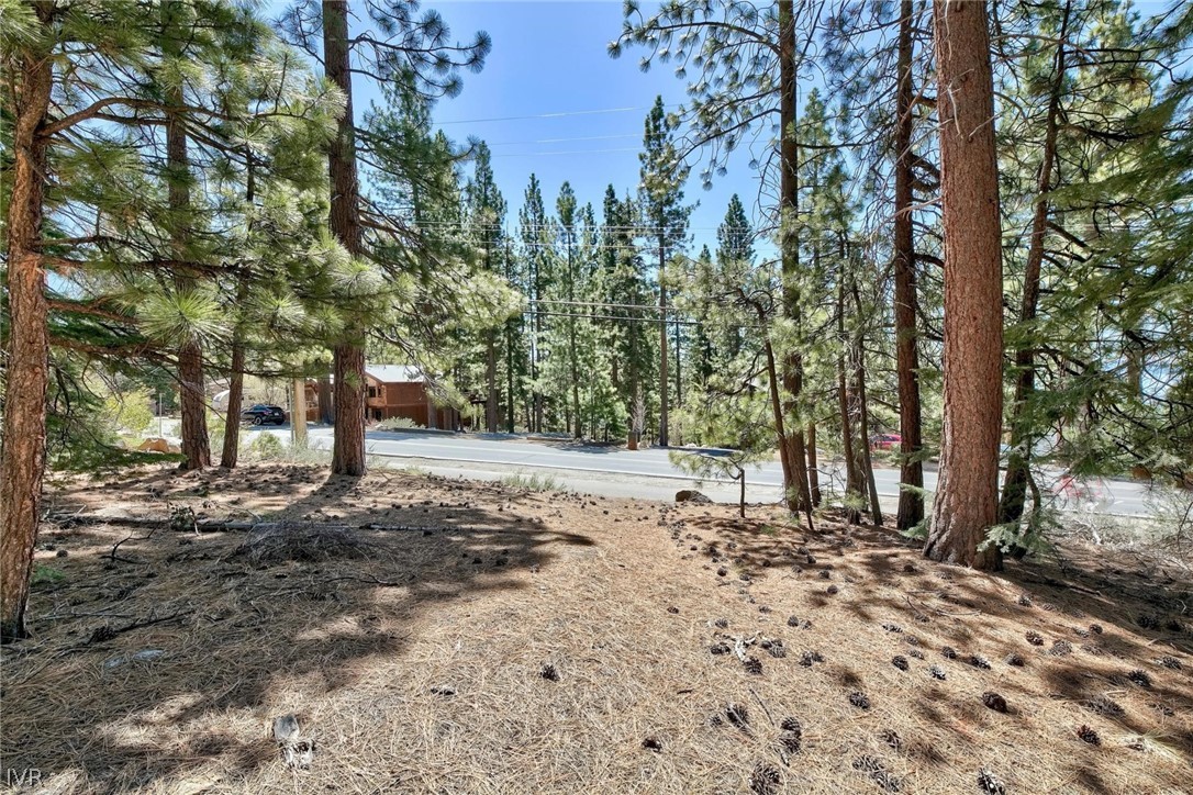 720 Mays Blvd .Incline Village, Nevada,Level Lot
