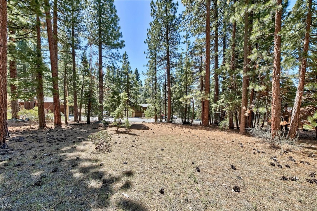 720 Mays Boulevard Incline Village, NV 89451 - Photo 13 of 14 720 Mays Blvd