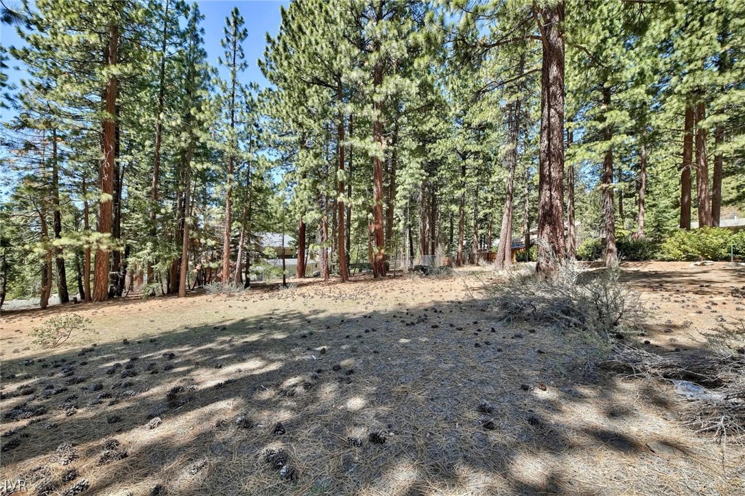 720 Mays Boulevard Incline Village, NV 89451 - Photo 14 of 14 720 Mays Blvd.vacant lot