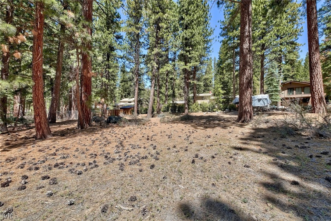 720 Mays Boulevard Incline Village, NV 89451 - Photo 6 of 14 720 Mays Blvd- Incline Village, Nevada