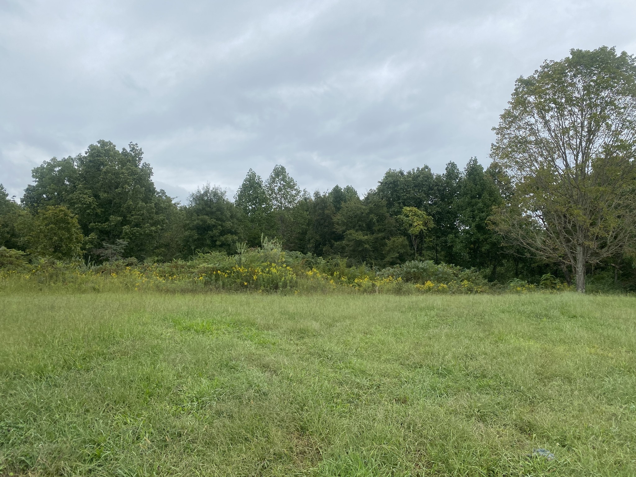 0 Seville Road Ashland City, TN 37015 - Photo 1 of 3 Gallery Image 1