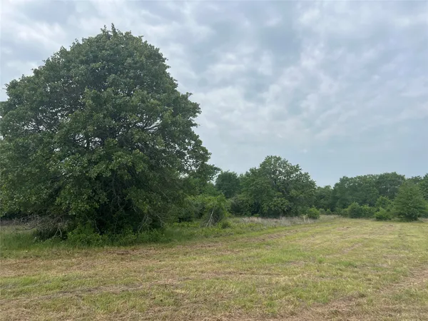 a view of a field with trees in the background