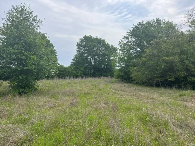 $289,000 | 124 County Road 124, Iola, TX 77861