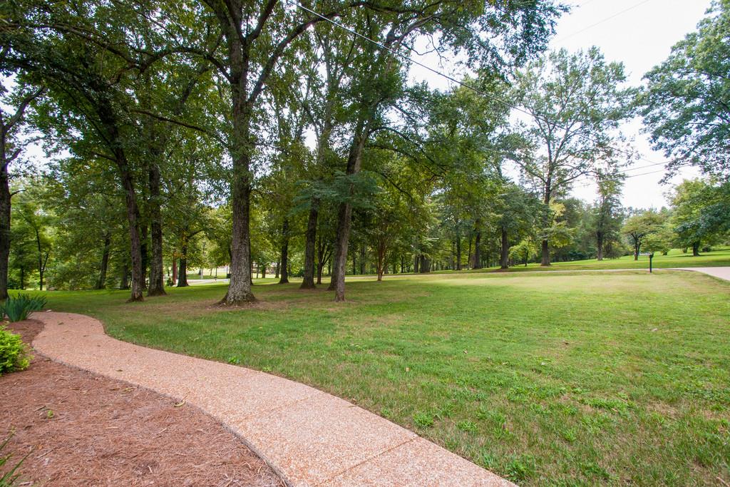 630 Davidson Road Nashville, TN 37205 - Photo 2 of 20 Beautiful front yard. (The property across the street belongs to a church)