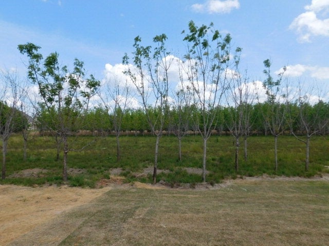 309 Owens Road Fort Mitchell, AL 36856 - Photo 13 of 30 Gallery Image 13