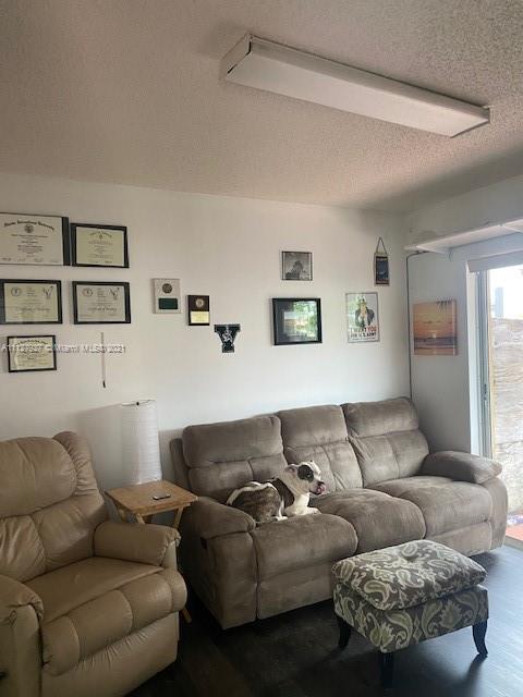 9475 Southwest 154th Court Miami, FL 33196 - Photo 10 of 27 a living room with furniture and painting on the wall
