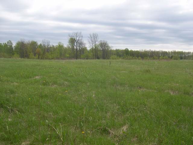 W1086 Kramer Road Deerbrook, WI 54424 - Photo 1 of 5 Gallery Image 1