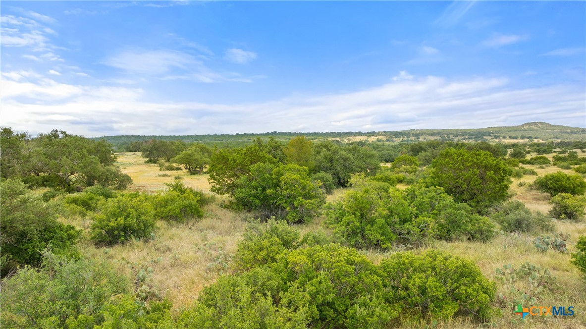 Lot 37 Vista Rdg Drive Round Mountain, TX 78663 - Photo 27 of 31 Gallery Image 27