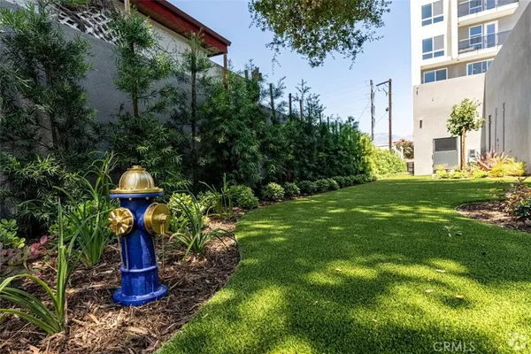a view of a yard with plants and a water fountain