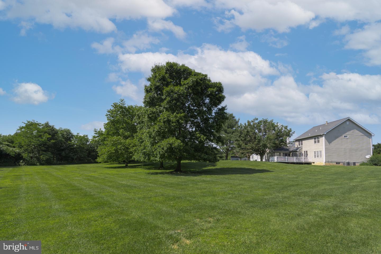 21 Pheasant Run Road New Hope, PA 18938 - Photo 34 of 34