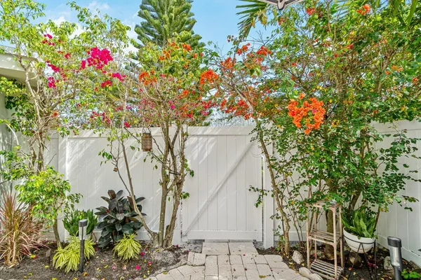 a view of a flower in a yard