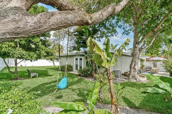 a view of a garden with a tree