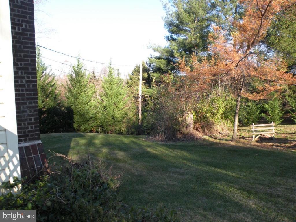 236 Zartman Mill Road Lititz, PA 17543 - Photo 4 of 22 a view of a field with trees in the background