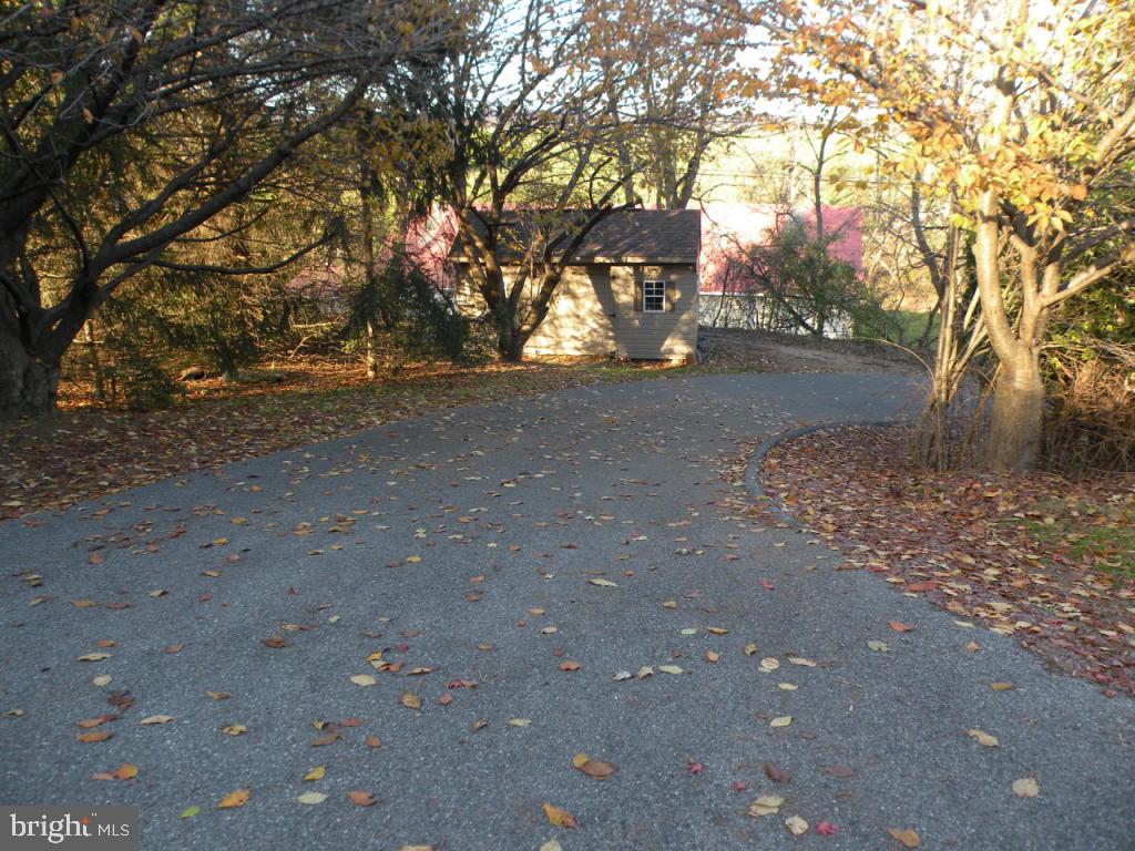 236 Zartman Mill Road Lititz, PA 17543 - Photo 5 of 22 a view of road and trees