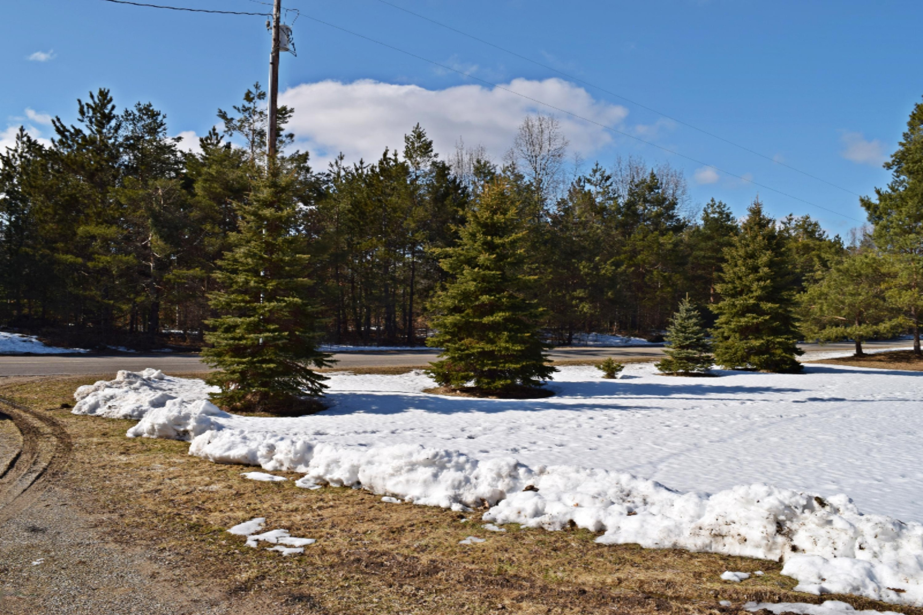 1488 North Campbell Road Fountain, MI 49410 - Photo 39 of 51 DSC_0118