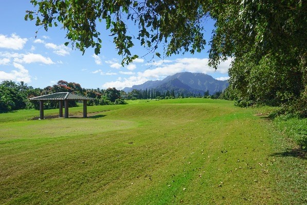 3920 Wyllie Road, Unit 8A Princeville, HI 96722 - Photo 20 of 20 Gallery Image 20