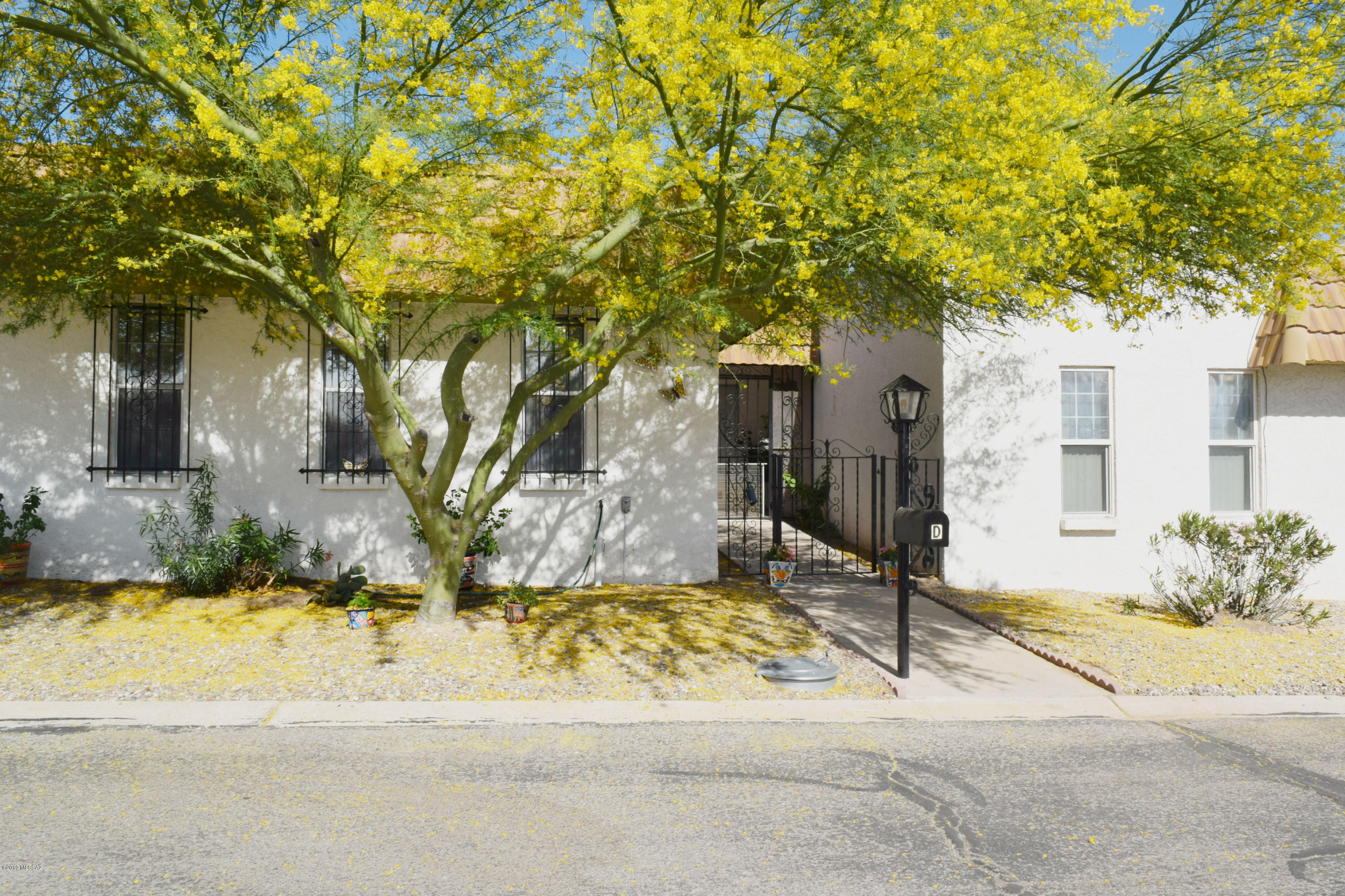 660 East River Road, Unit D Tucson, AZ 85704 - Photo 2 of 20 Gallery Image 2
