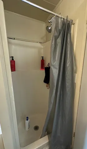 a bathroom with a shower and toilet