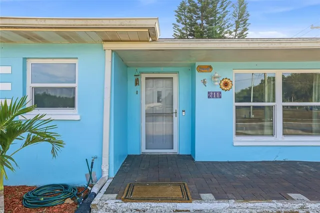 a view of backyard with a potted plant
