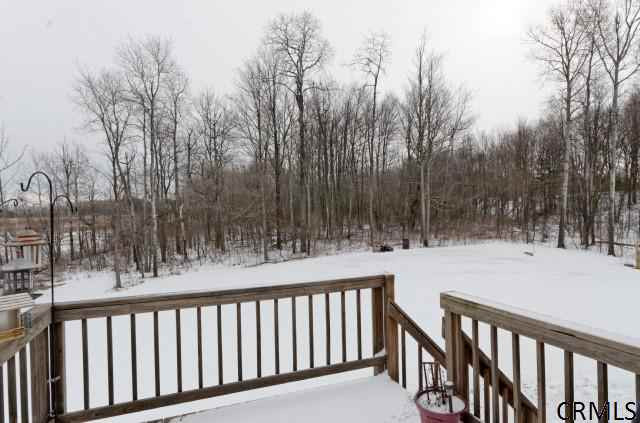 587 Alexander Road Delanson, NY 12053 - Photo 23 of 25 Photo 23